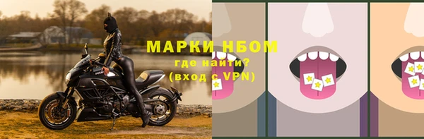 дурь Алзамай