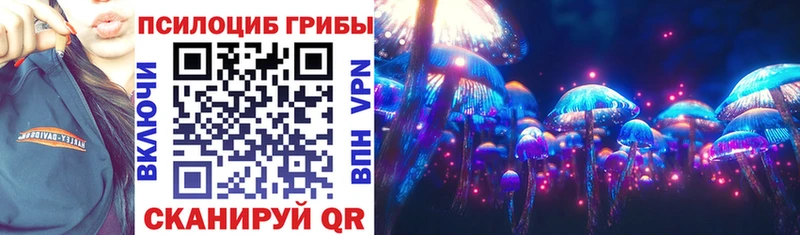 где можно купить Каменногорск Псилоцибиновые грибы Psilocybe
